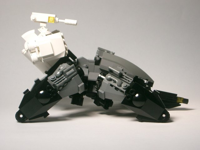 spider20.jpg