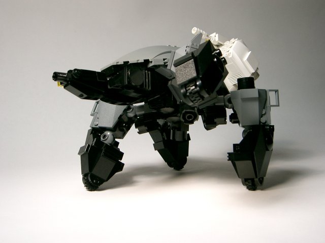spider24.jpg