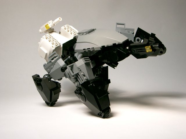 spider26.jpg