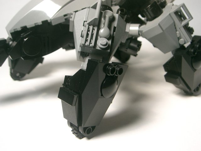 spider34.jpg