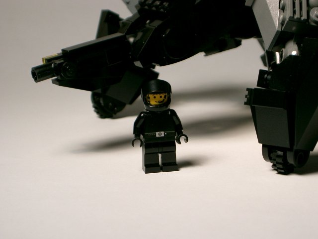 spider38.jpg