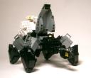 spider08.jpg