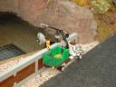 128_berlin_zoo_nilpferdtransport.jpg
