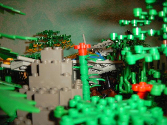 918_01.jpg
