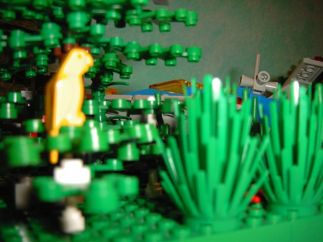 918_06.jpg