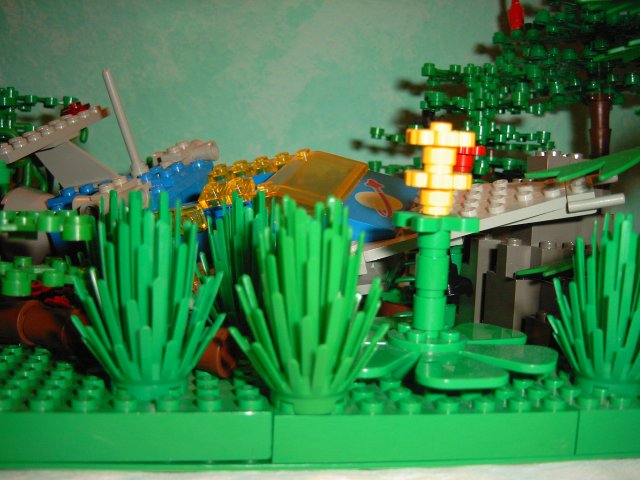 918_12.jpg