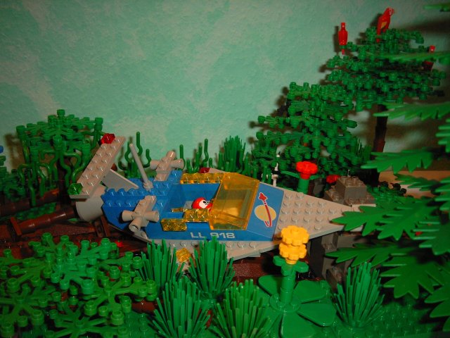 918_13.jpg