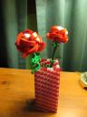 roses