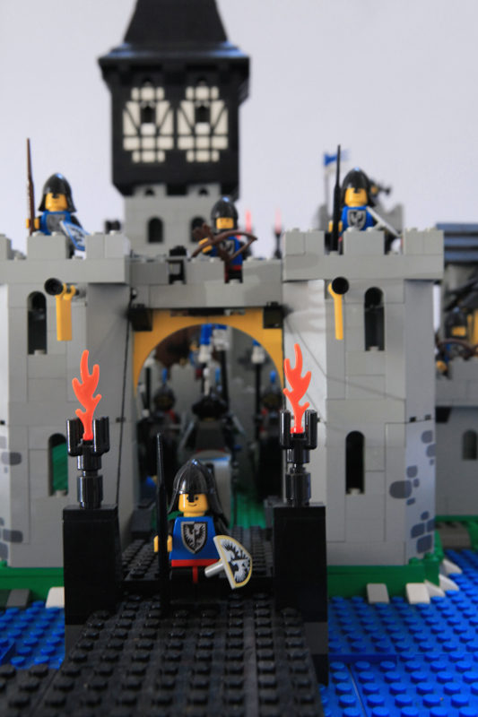 bf_castle_010.jpg