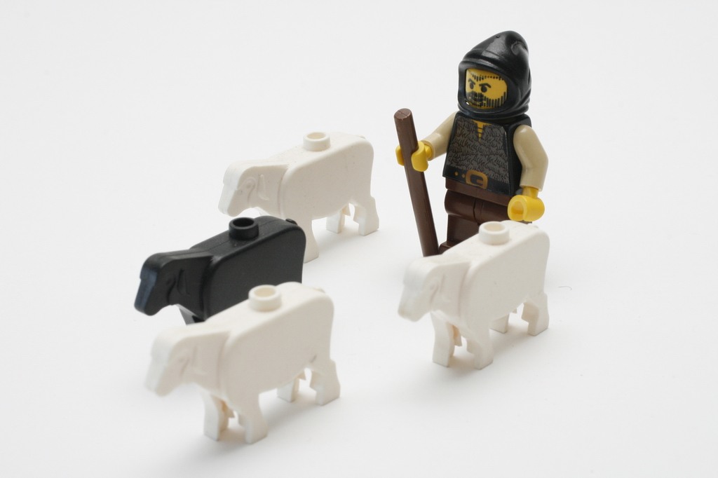 7102-003.jpg