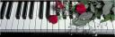 500-piano2a.jpg