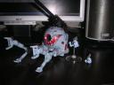 mg_rb-79.jpg