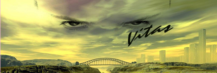 vitas-eyebridgebanner.jpg
