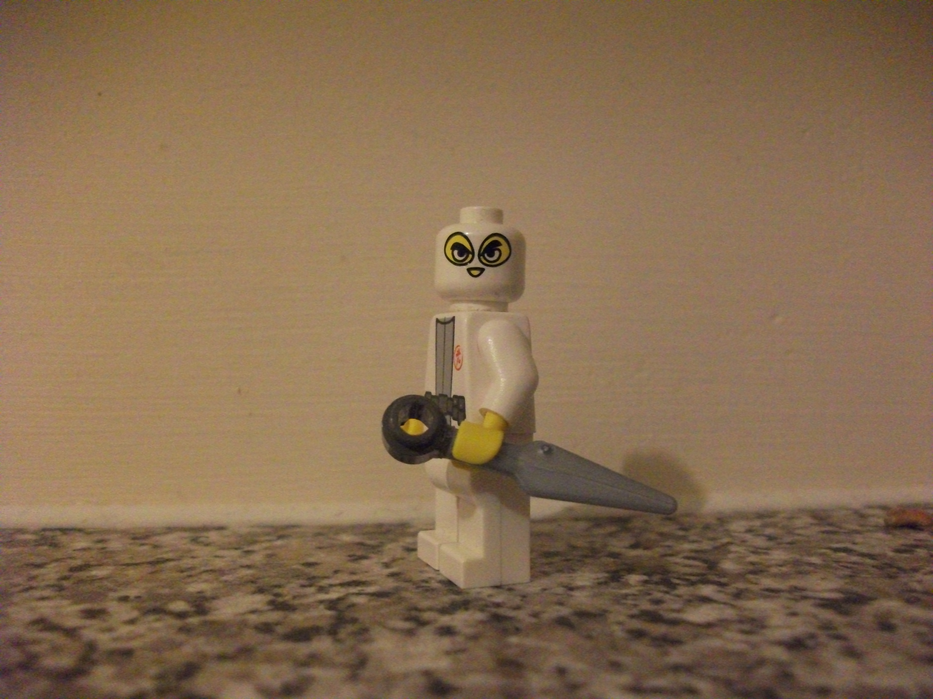 2010_0122lego0007.jpg