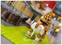 fvin_thailand_elephants02.jpg