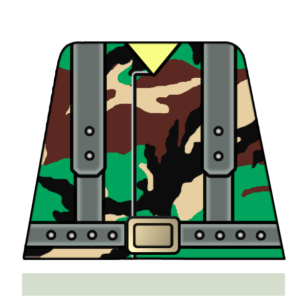 camo02.jpg
