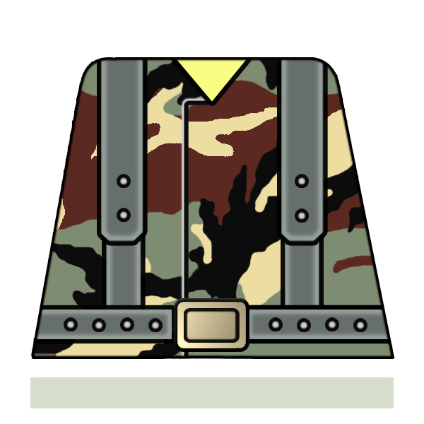 camo02b.jpg