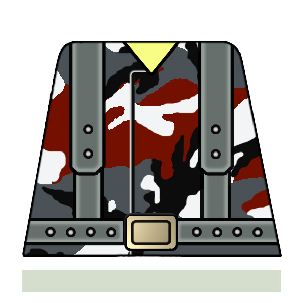 camo05.jpg