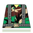 camo02.jpg