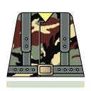 camo02b.jpg