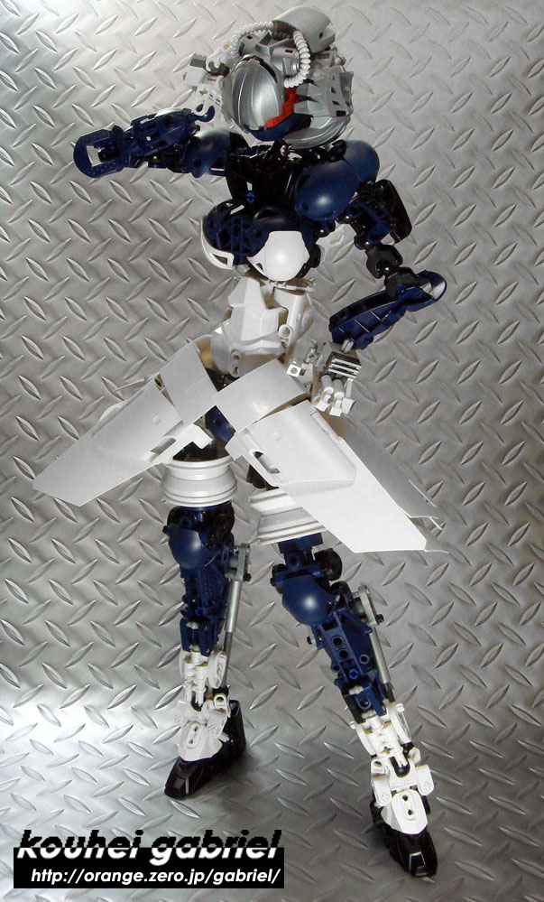 a0273-i2.jpg