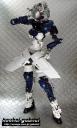 a0273-i2.jpg
