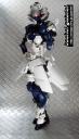 a0273-ib.jpg