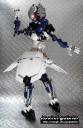 a0273-ie.jpg