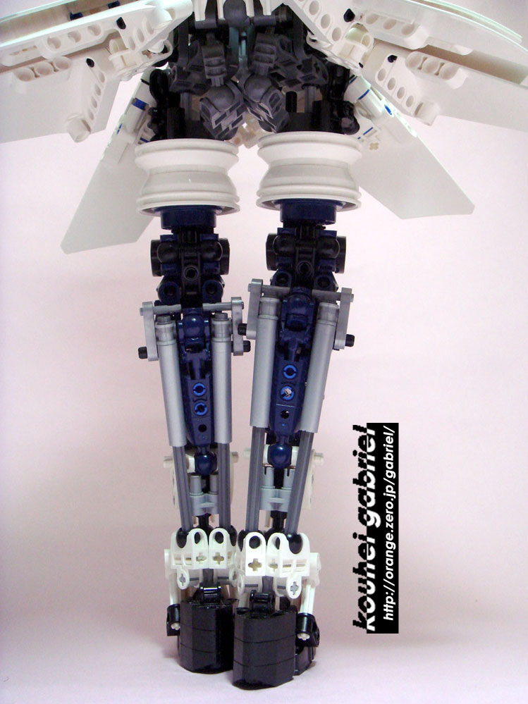 a0273-9.jpg