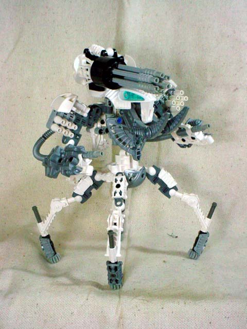 a105-1.jpg