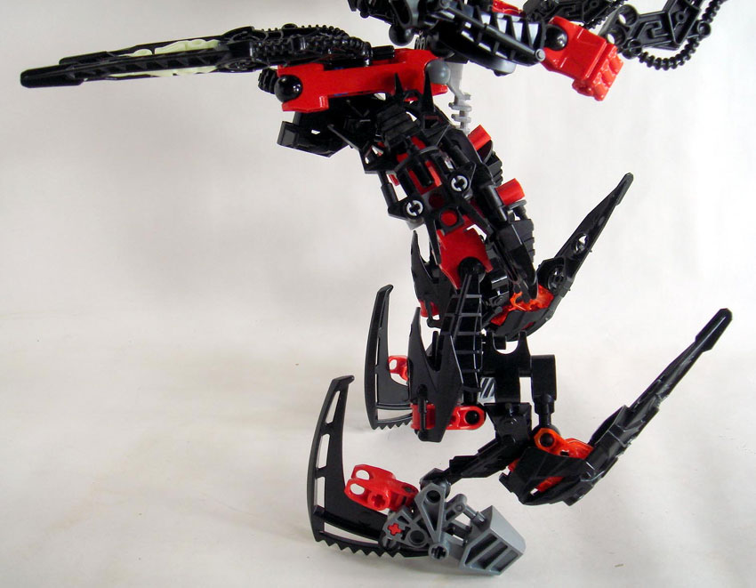 a222-d.jpg