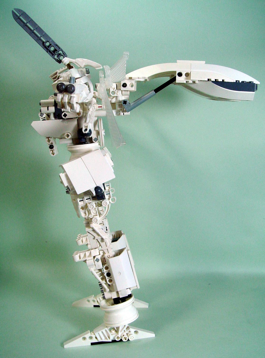 a254-a.jpg