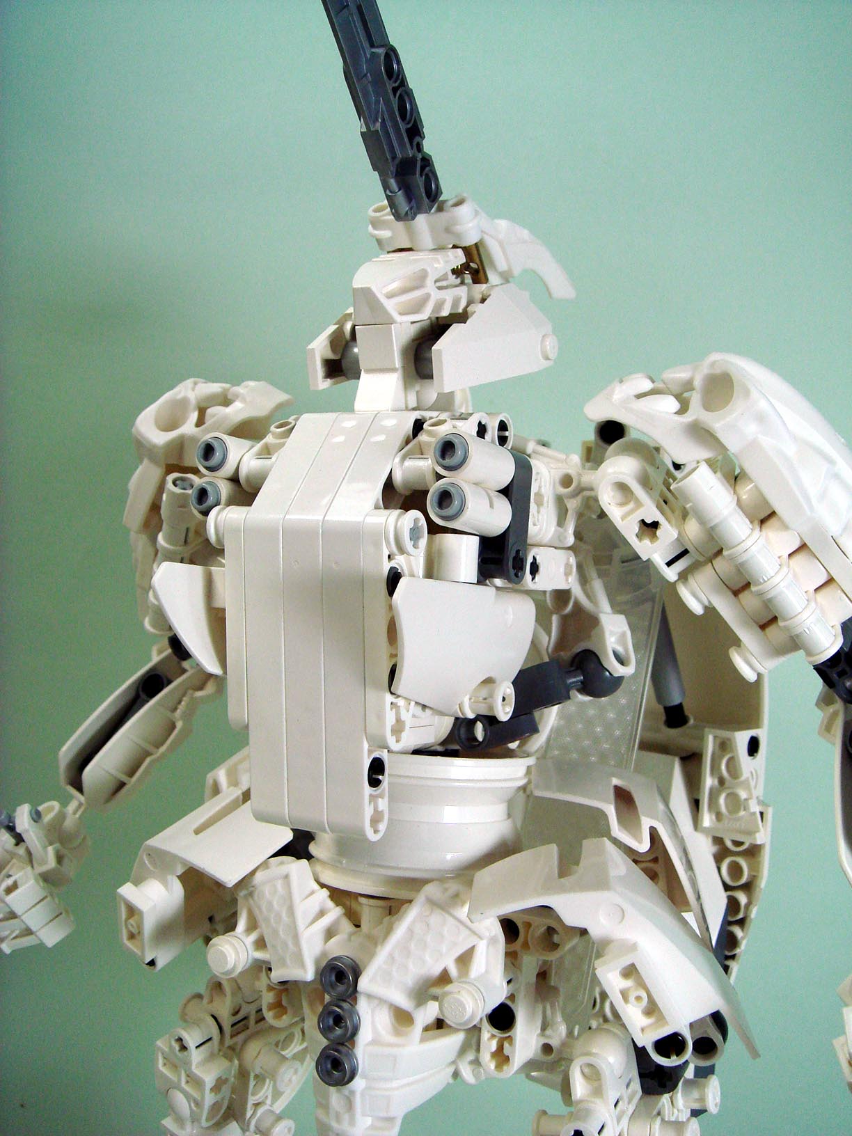 a254-f.jpg