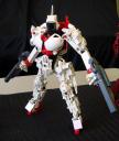 20100502-kawazu5.jpg