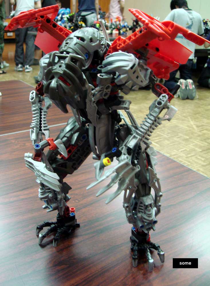20100718some-2.jpg