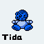 tida.gif