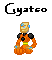 gyasto.png