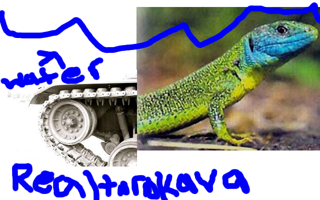 reallifetarakava.png