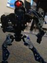 toa_selia_2.jpg