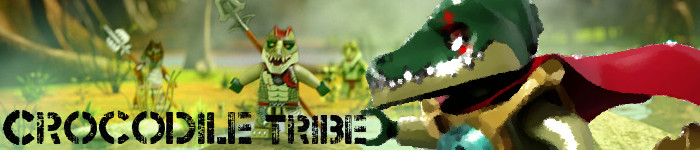 crocsold.jpg