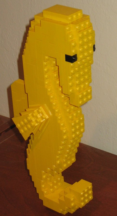 standing-seahorse2.jpg