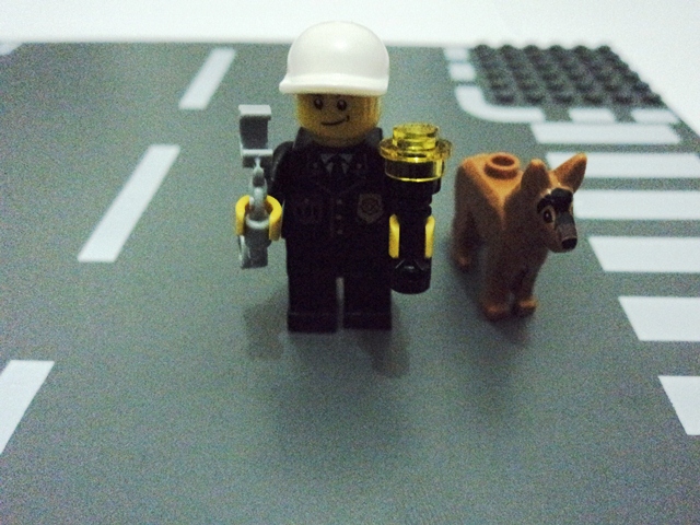 dsc01199.jpg
