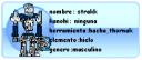 id_strakk.bmp