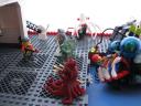 img_47281.jpg