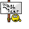 washmycar.bmp
