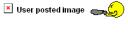 userpostedimage.gif
