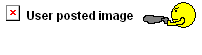 userpostedimage.gif