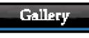 gallerycm.gif