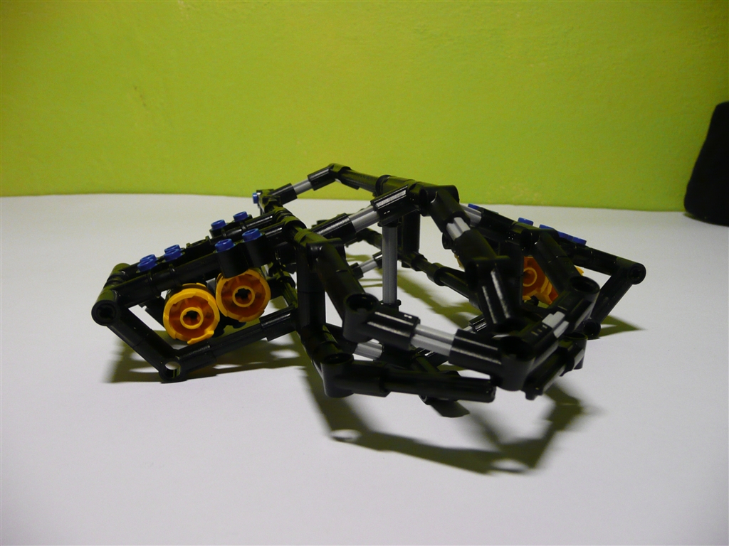 p1080976lq.jpg