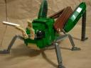locust03.jpg